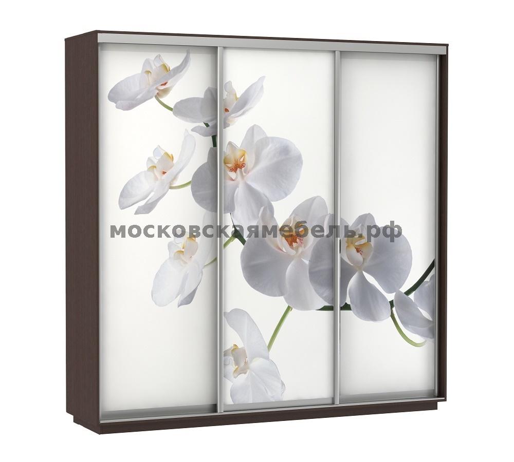 Фотопечать орхидеи для шкафов купе